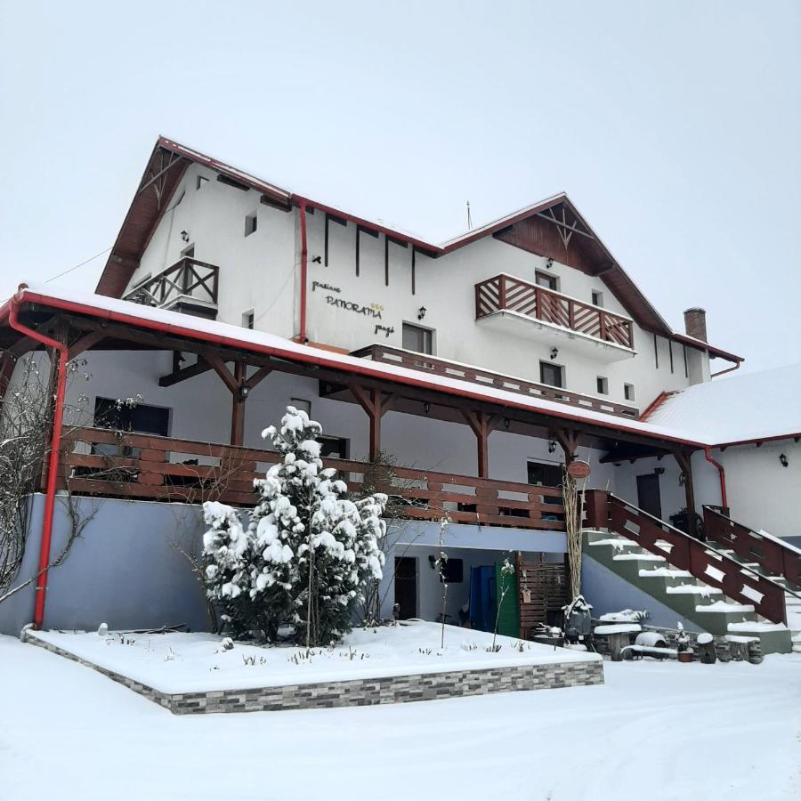 Panorama Cehu Silvaniei 외부 사진