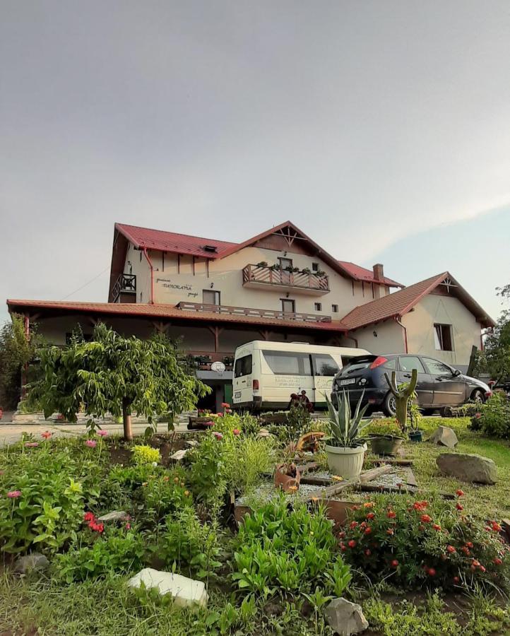 Panorama Cehu Silvaniei 외부 사진