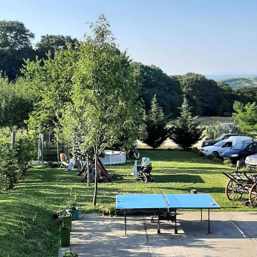 Panorama Cehu Silvaniei 외부 사진