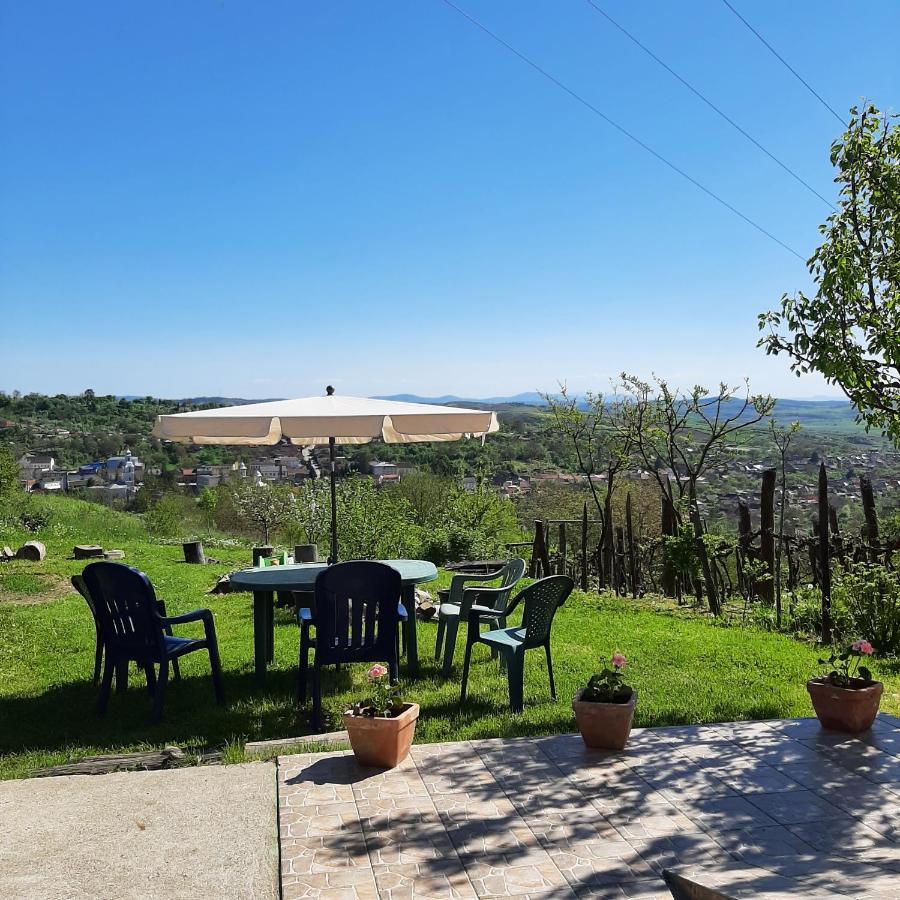 Panorama Cehu Silvaniei 외부 사진