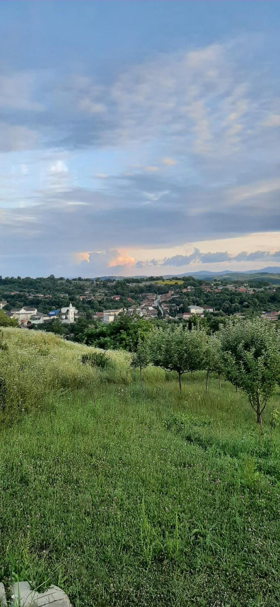 Panorama Cehu Silvaniei 객실 사진