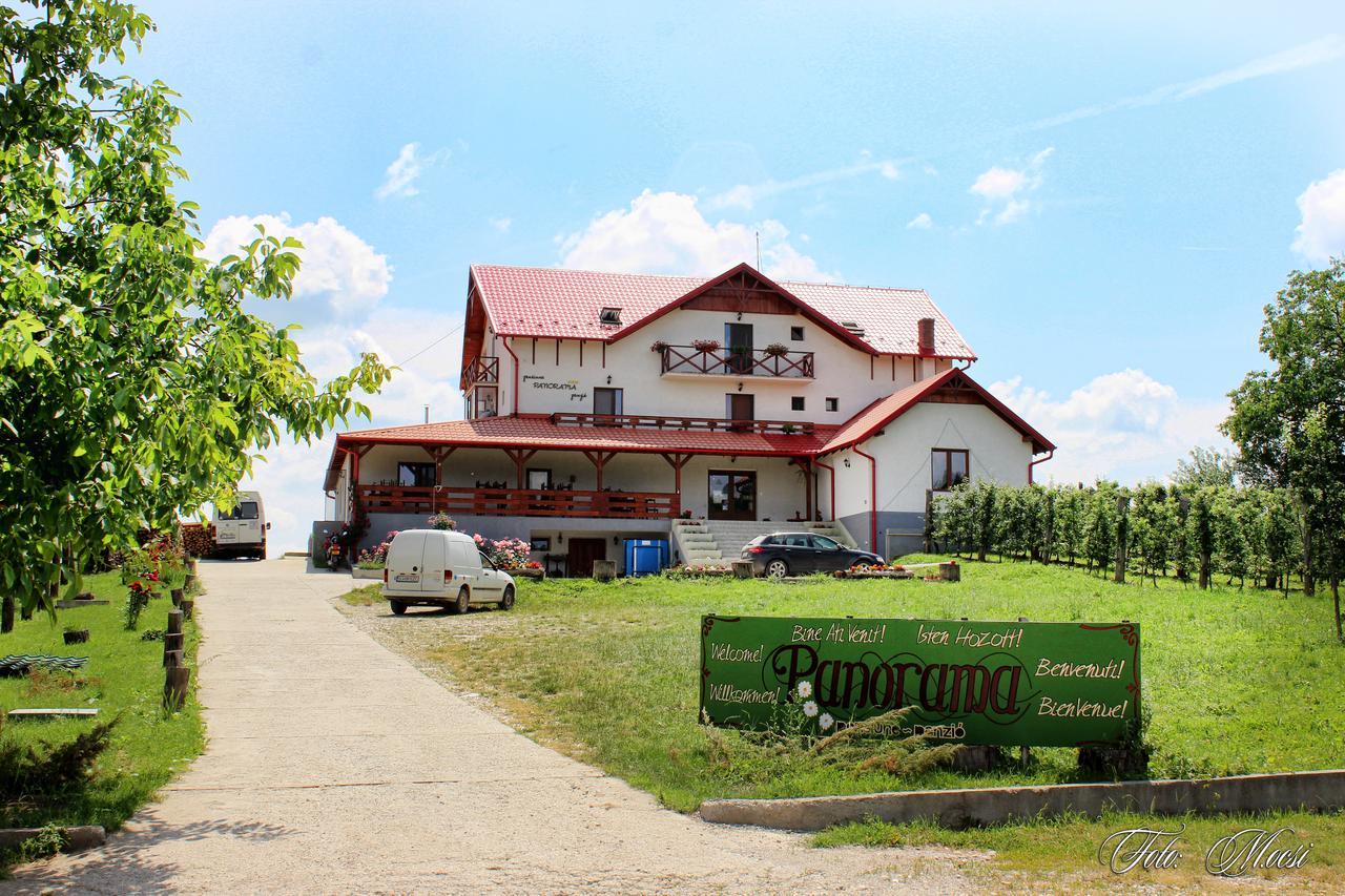 Panorama Cehu Silvaniei 외부 사진