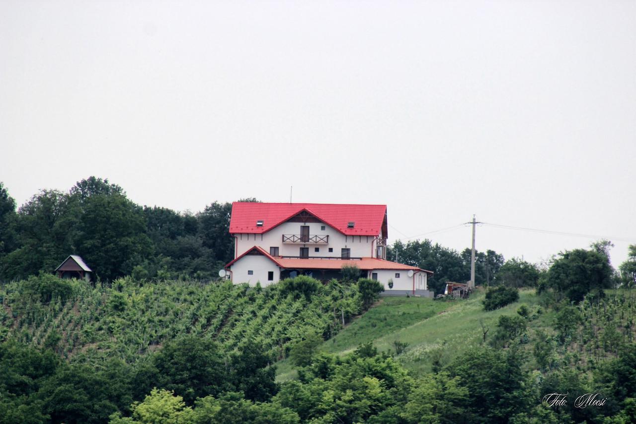 Panorama Cehu Silvaniei 외부 사진