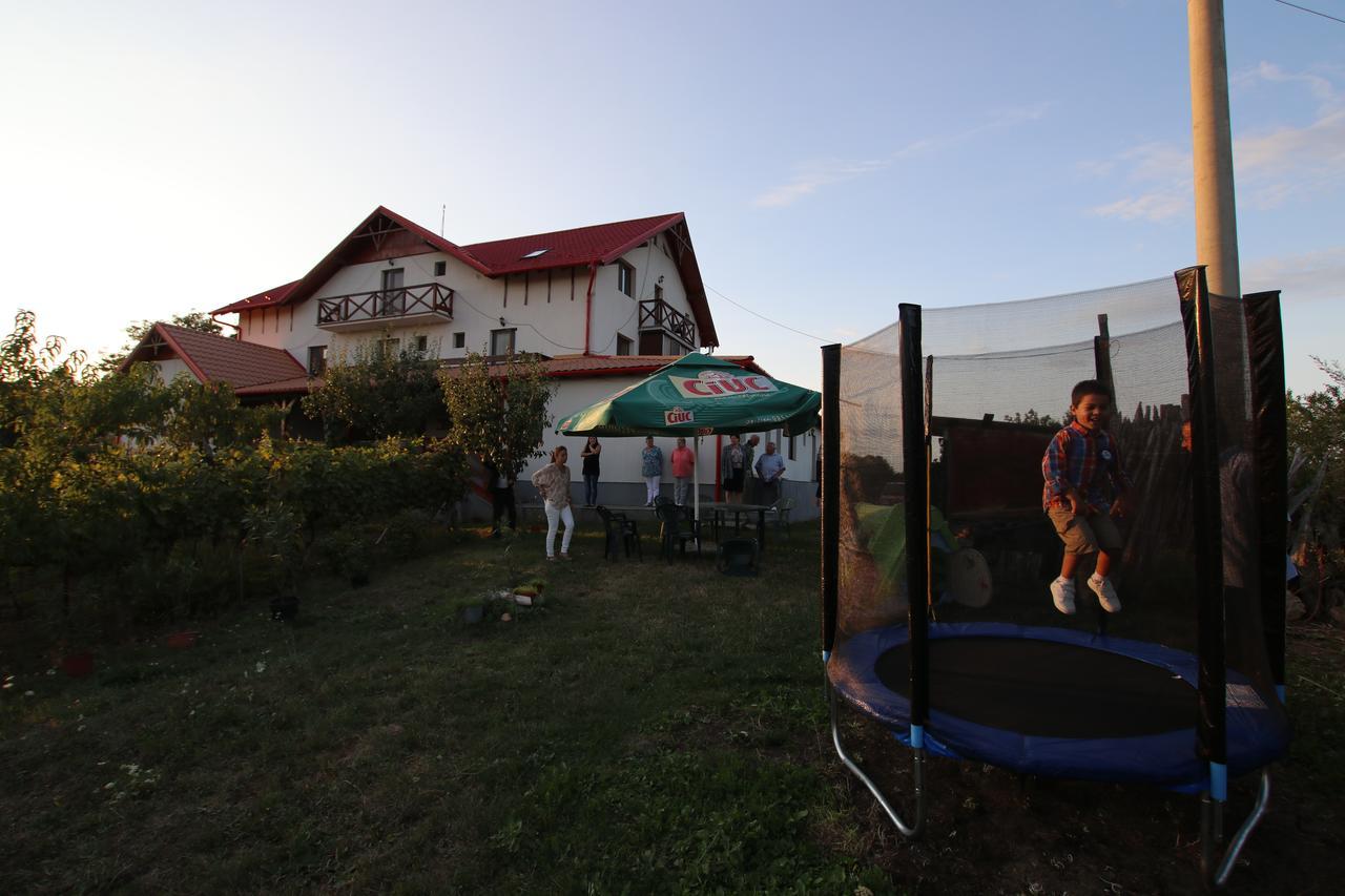 Panorama Cehu Silvaniei 외부 사진