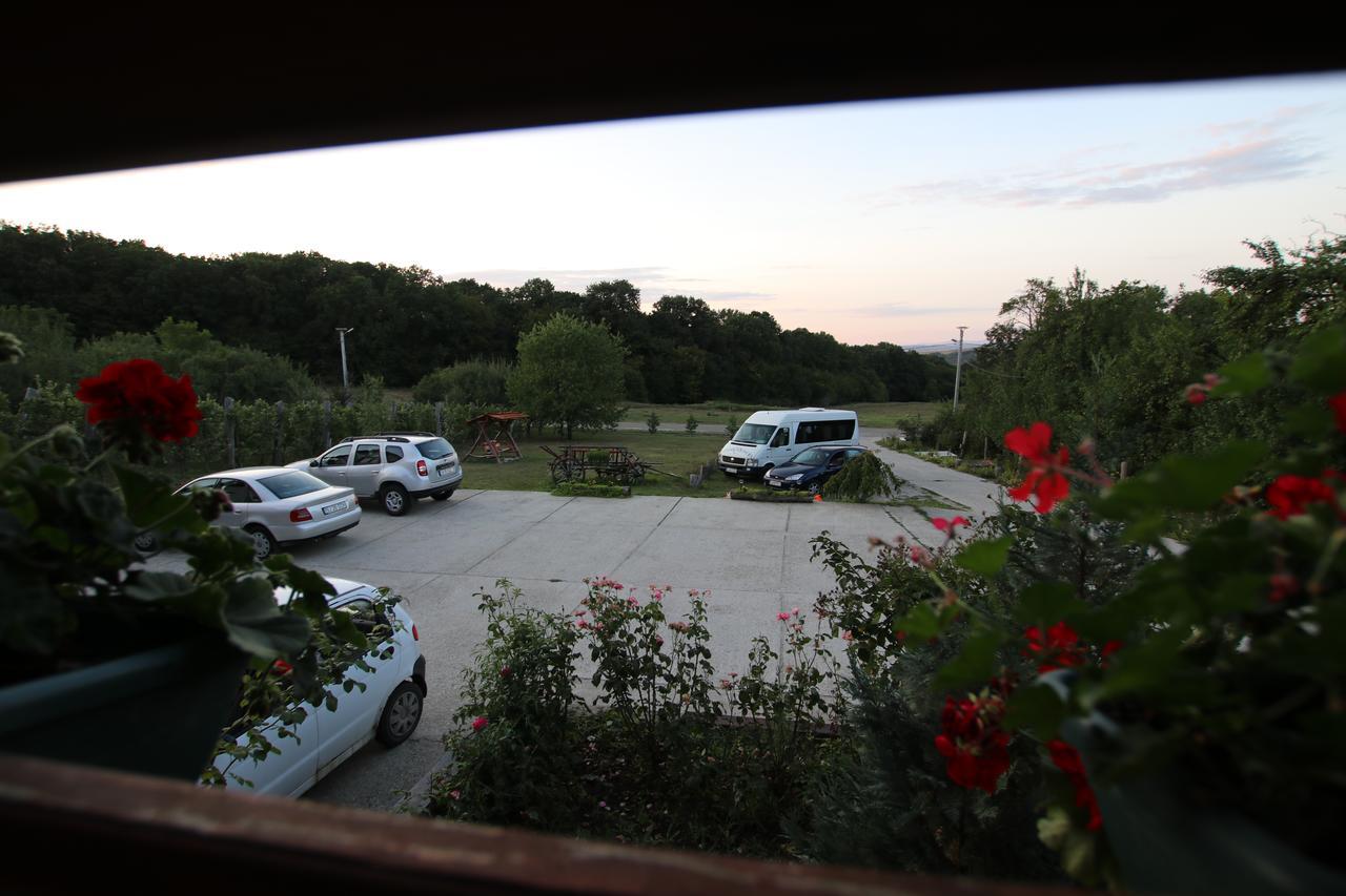 Panorama Cehu Silvaniei 외부 사진