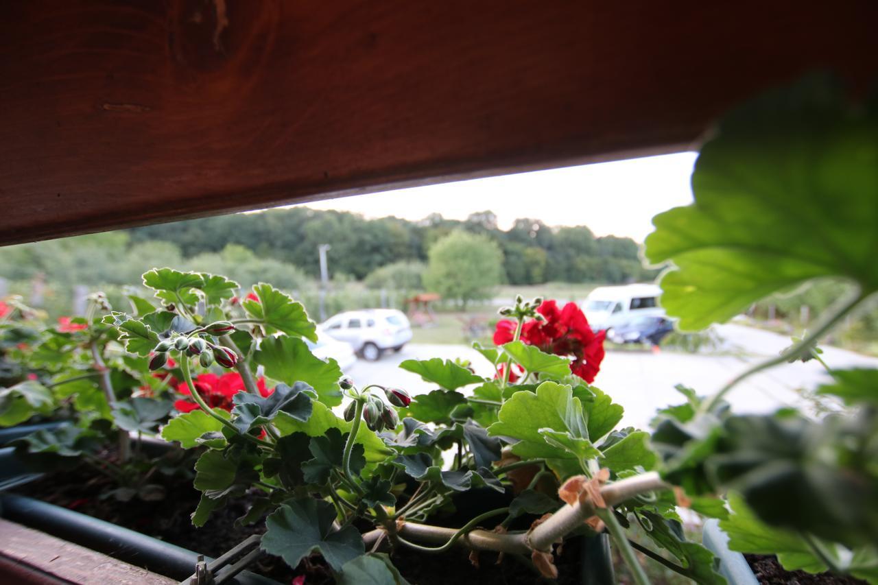Panorama Cehu Silvaniei 외부 사진